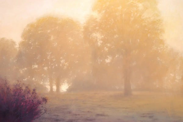 Oak Trees: Atmospheric Oaks by Michael Orwick