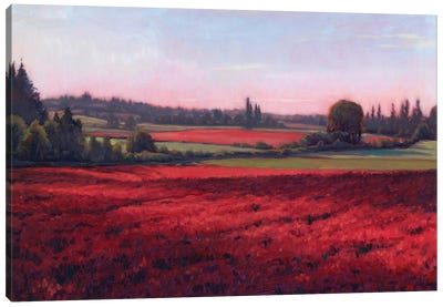 Crimson Clover Canvas Art Print - Limited Edition Art