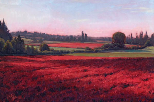 Poppies: Crimson Clover by Michael Orwick
