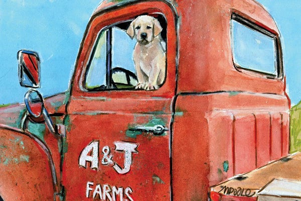 Labrador Retrievers: Working Like A Dog by Molly A. Poole