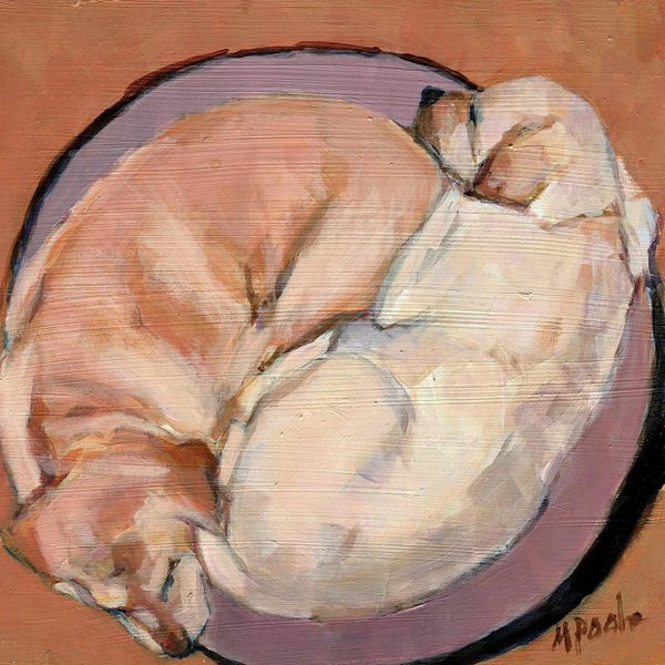 Sleeping & Napping: Yellow Go Round by Molly A. Poole