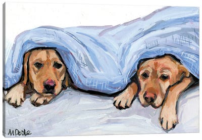 Under Cover Canvas Art Print - Molly A. Poole