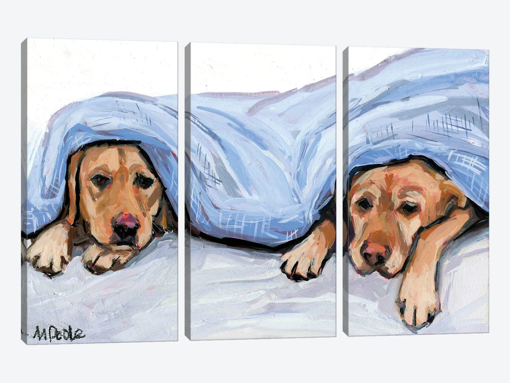 Under Cover by Molly A. Poole 3-piece Canvas Wall Art