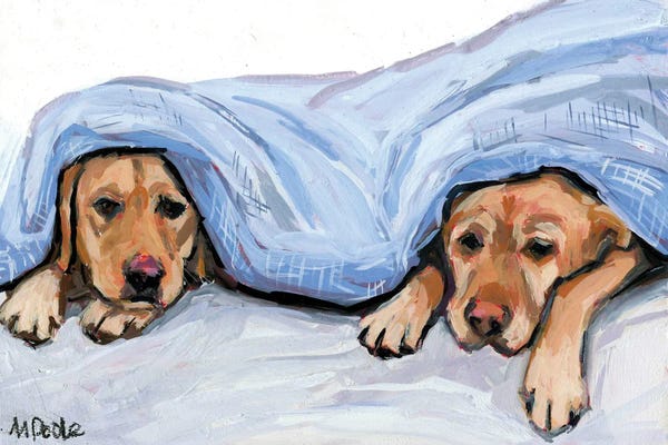 Labrador Retrievers: Under Cover by Molly A. Poole