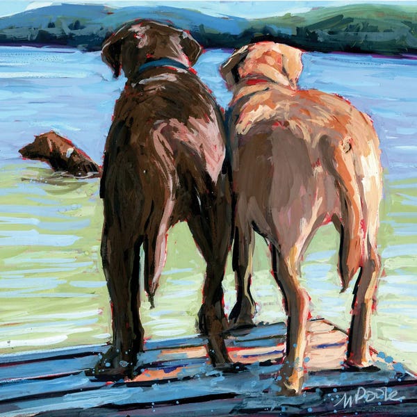 American Décor: Dock Dogs by Molly A. Poole