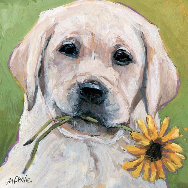 Labrador Retrievers: Flower Power by Molly A. Poole