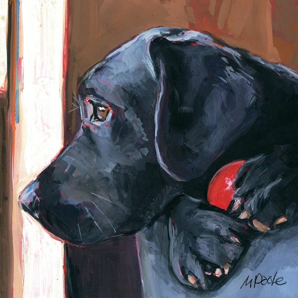 Labrador Retrievers: Kong by Molly A. Poole