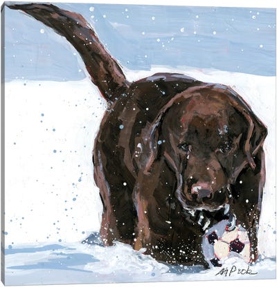 Snow Plow Canvas Art Print - Molly A. Poole