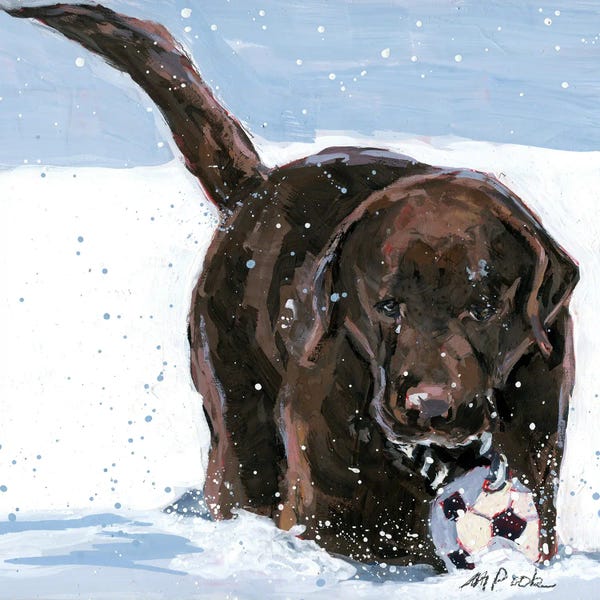 Snow: Snow Plow by Molly A. Poole