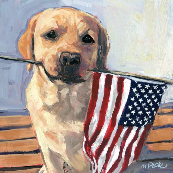 American Décor: Pledge by Molly A. Poole