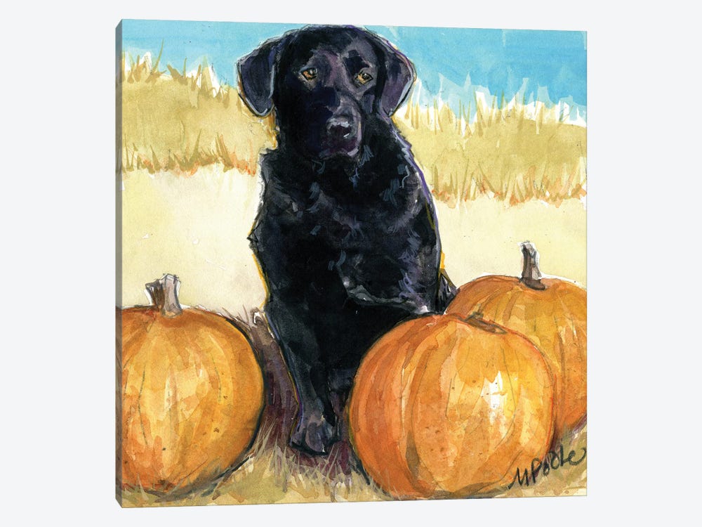 Boo by Molly A. Poole 1-piece Canvas Print