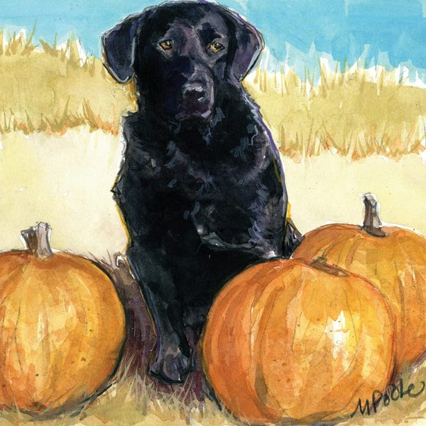Labrador Retrievers: Boo by Molly A. Poole