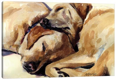 California Dreamers Canvas Art Print - Labrador Retriever Art