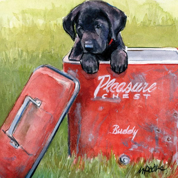 Labrador Retrievers: Chill Out by Molly A. Poole