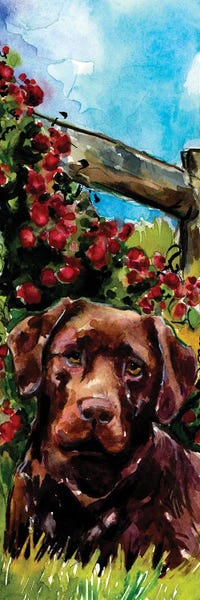 Labrador Retrievers: Choco Raspberry Fields by Molly A. Poole