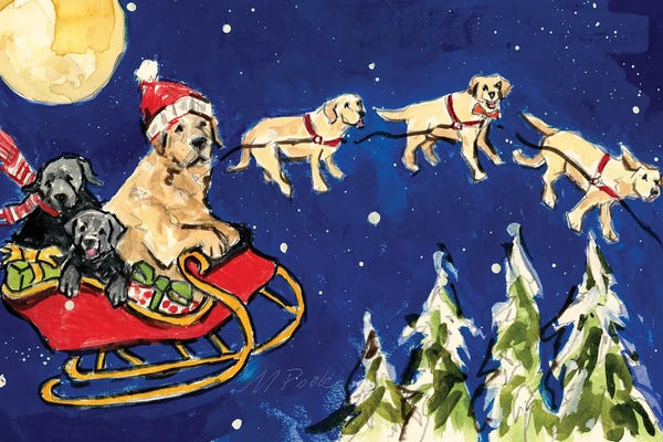 Christmas Animals: Dash Away by Molly A. Poole