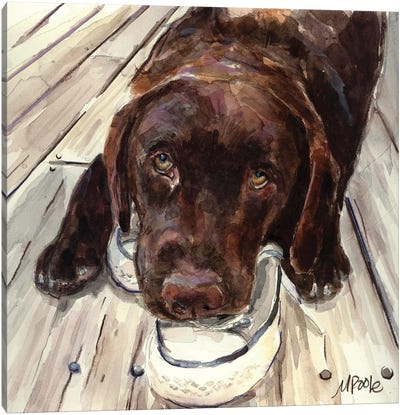 Deckhand Canvas Art Print - Labrador Retriever Art