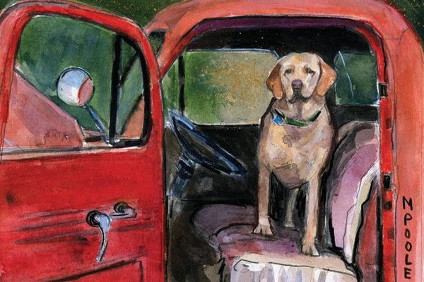 Trucks: Mercury V1 by Molly A. Poole