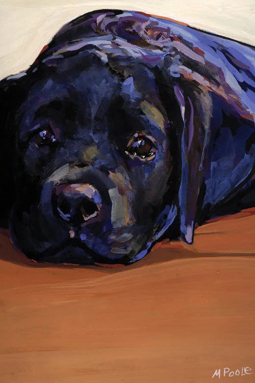 Eyes For You by Molly A. Poole wall art
