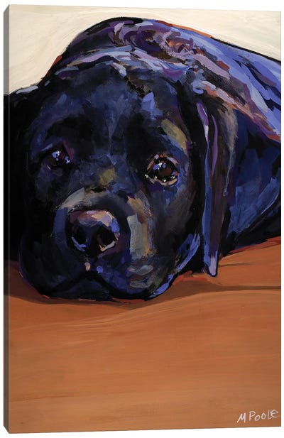 Eyes For You Canvas Art Print - Labrador Retriever Art