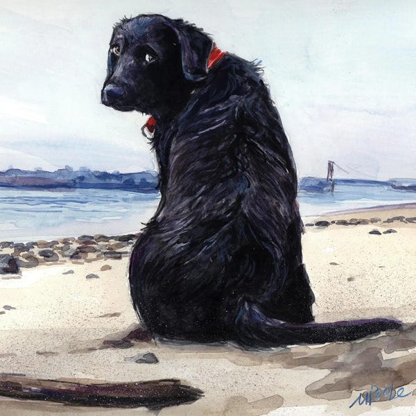 Large Coastal Art - Canvas Prints: Fetching by Molly A. Poole