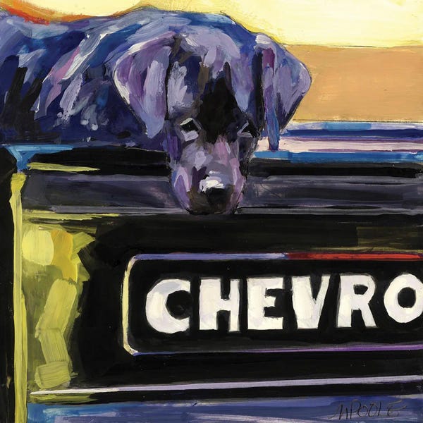 Trucks: Fifty One by Molly A. Poole