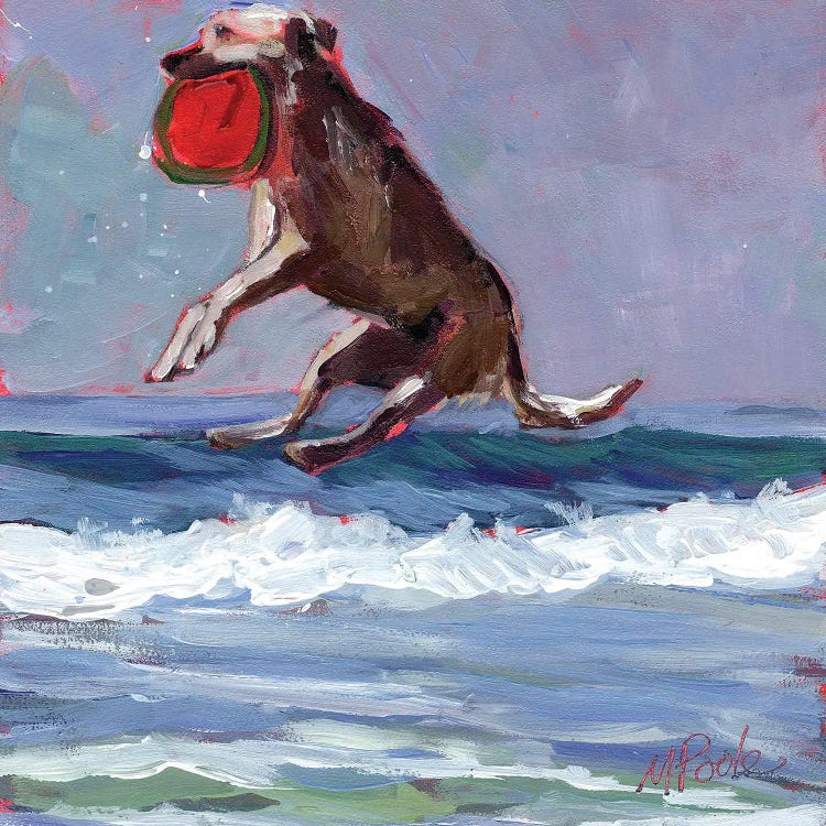 Frisbee by Molly A. Poole wall art