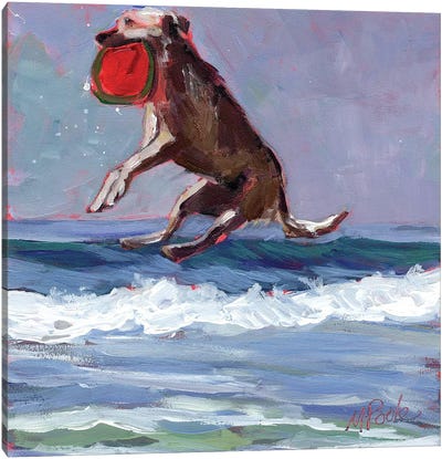 Frisbee Canvas Art Print - Labrador Retriever Art