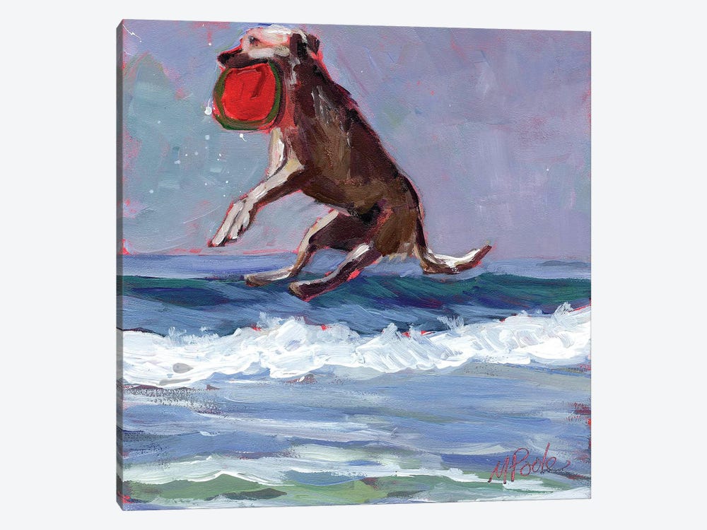Frisbee by Molly A. Poole 1-piece Canvas Artwork