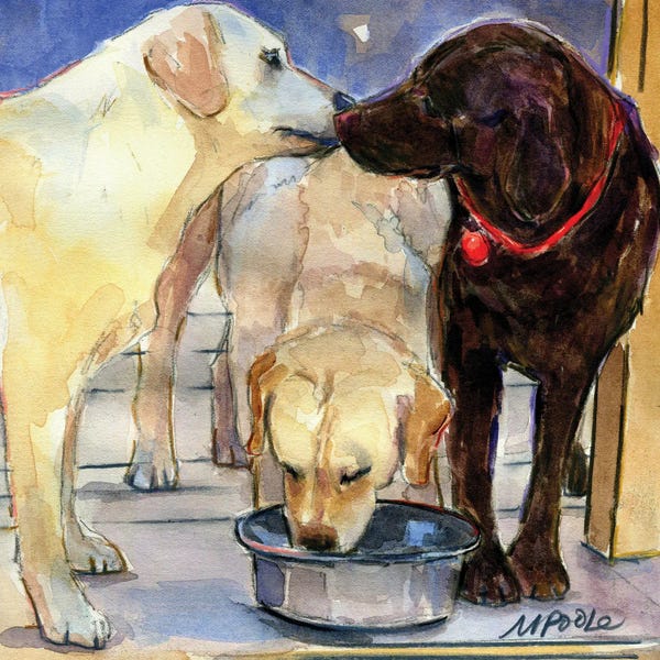 Labrador Retrievers: Hershey Kiss by Molly A. Poole