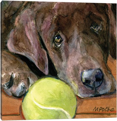 In Play Canvas Art Print - Molly A. Poole