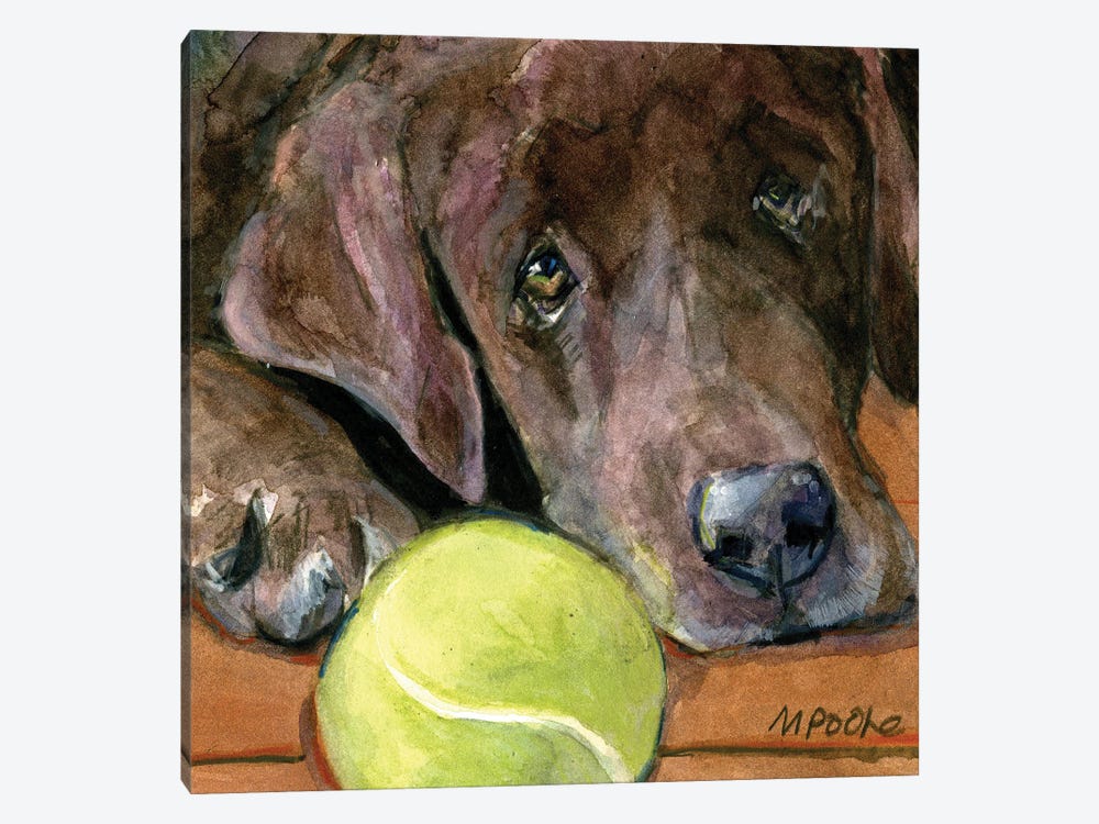 In Play by Molly A. Poole 1-piece Canvas Artwork