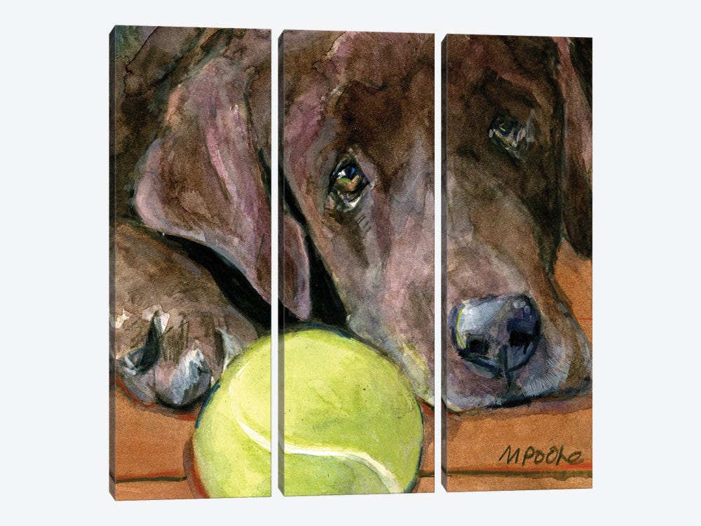 In Play by Molly A. Poole 3-piece Canvas Art