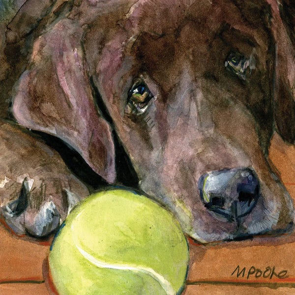 Labrador Retrievers: In Play by Molly A. Poole