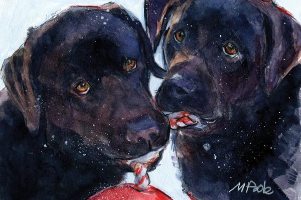 Labrador Retrievers: Jolly Time by Molly A. Poole