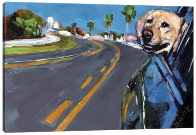 Joy Ride Canvas Art Print - Molly A. Poole