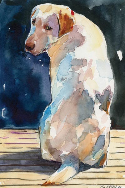 Labrador Retrievers: Lucy Moon by Molly A. Poole