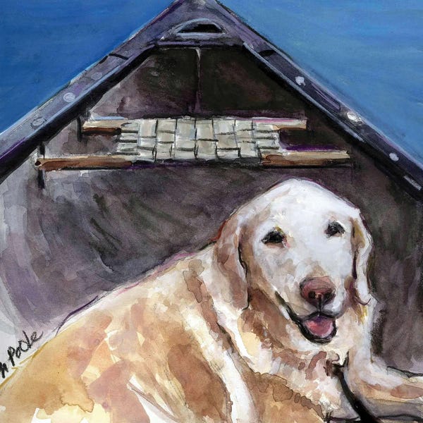 Canoes: Me You Canoe by Molly A. Poole