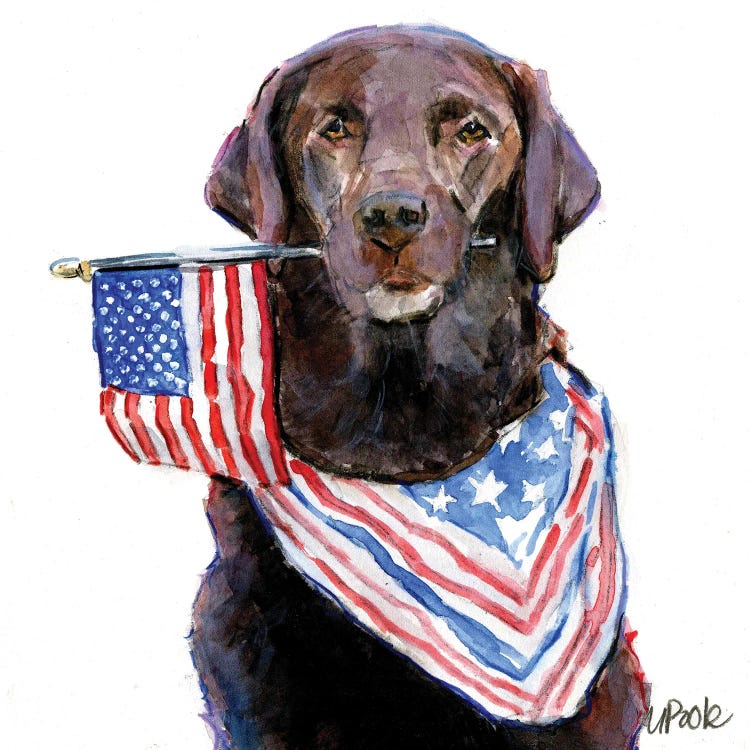 Patriot by Molly A. Poole wall art