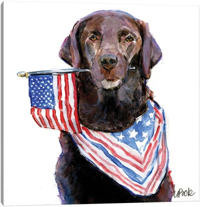 Patriot Canvas Art Print - American Flag Art