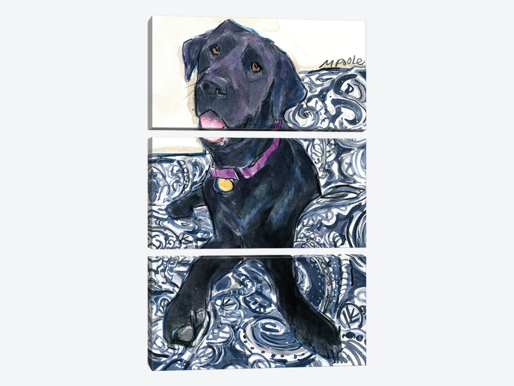 Puppy In Blue by Molly A. Poole 3-piece Canvas Art