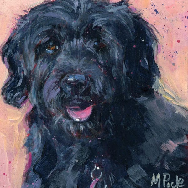 Labradoodles: Pwd by Molly A. Poole