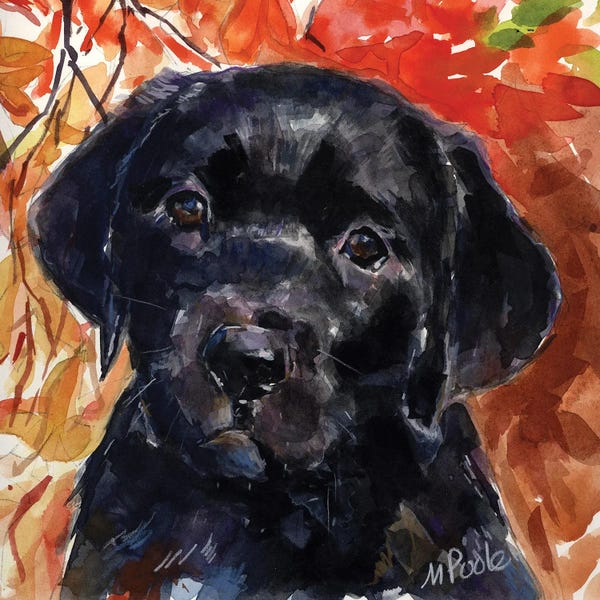Labrador Retrievers: Red Delicious by Molly A. Poole