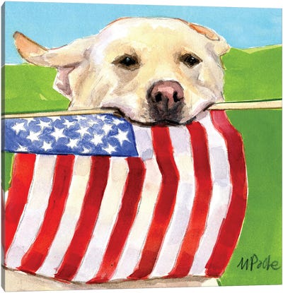Red White And Joy Canvas Art Print - American Flag Art