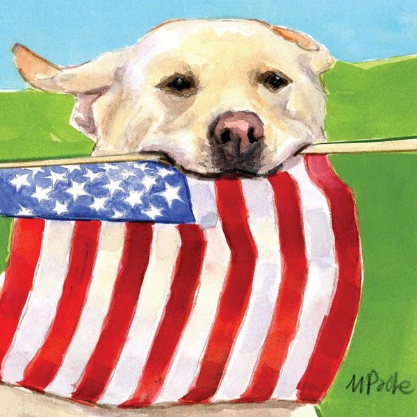 Flags: Red White And Joy by Molly A. Poole