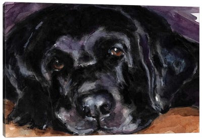 Rest Easy Canvas Art Print - Labrador Retriever Art