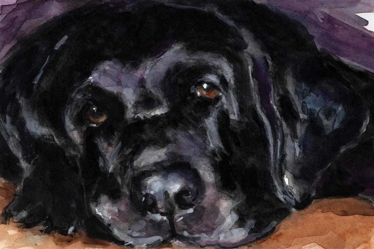 Rest Easy by Molly A. Poole wall art