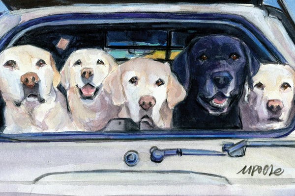 By Land: Road Trippin' by Molly A. Poole