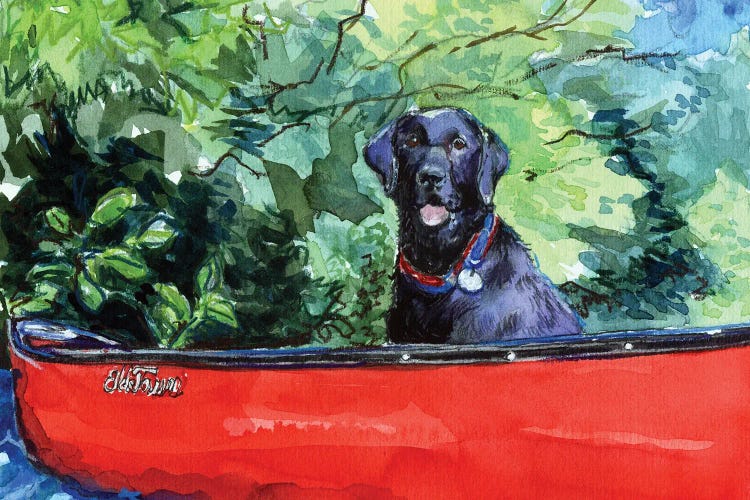 Scout In Canoe