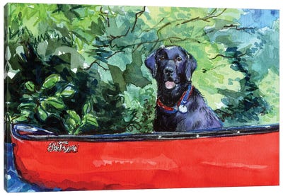 Scout In Canoe Canvas Art Print - Molly A. Poole